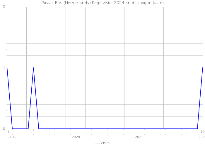 Passie B.V. (Netherlands) Page visits 2024 