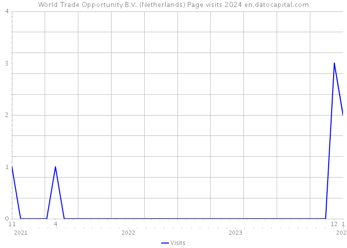 World Trade Opportunity B.V. (Netherlands) Page visits 2024 