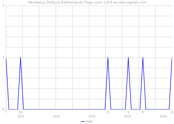 Hermanus Delfgou (Netherlands) Page visits 2024 