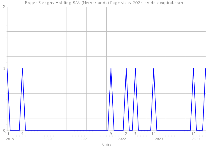 Roger Steeghs Holding B.V. (Netherlands) Page visits 2024 