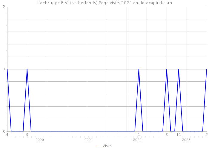Koebrugge B.V. (Netherlands) Page visits 2024 