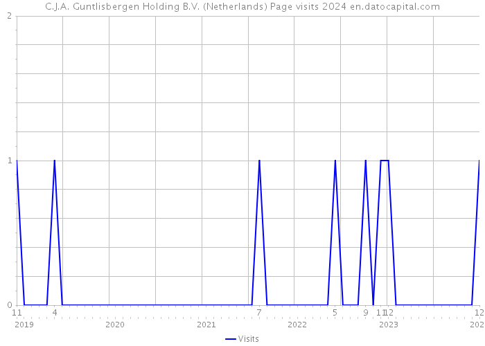 C.J.A. Guntlisbergen Holding B.V. (Netherlands) Page visits 2024 