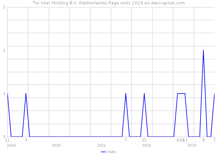 Ter Veer Holding B.V. (Netherlands) Page visits 2024 