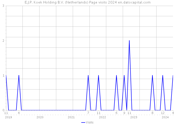E.J.P. Koek Holding B.V. (Netherlands) Page visits 2024 