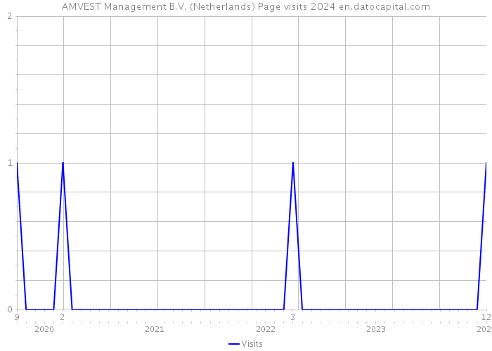 AMVEST Management B.V. (Netherlands) Page visits 2024 