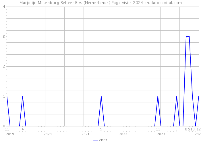 Marjolijn Miltenburg Beheer B.V. (Netherlands) Page visits 2024 