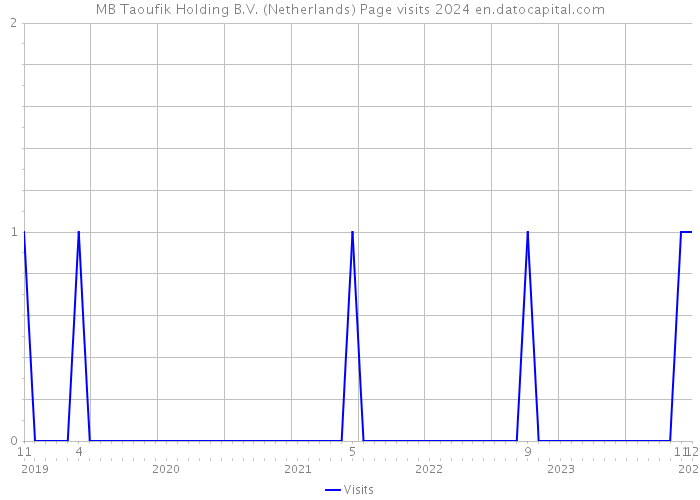 MB Taoufik Holding B.V. (Netherlands) Page visits 2024 