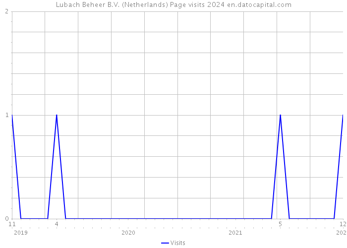 Lubach Beheer B.V. (Netherlands) Page visits 2024 
