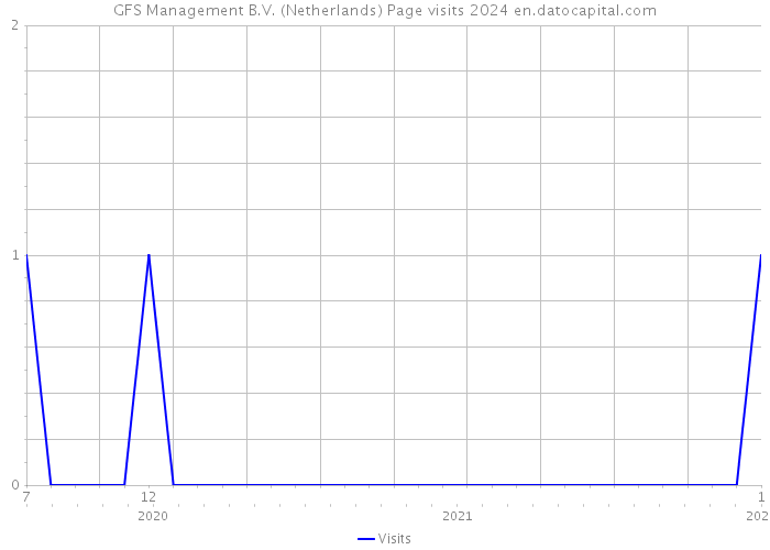 GFS Management B.V. (Netherlands) Page visits 2024 