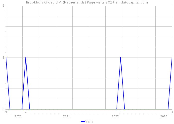 Brookhuis Groep B.V. (Netherlands) Page visits 2024 