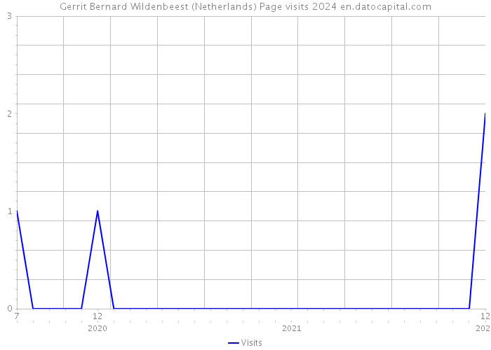 Gerrit Bernard Wildenbeest (Netherlands) Page visits 2024 