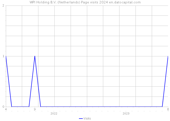 WPI Holding B.V. (Netherlands) Page visits 2024 