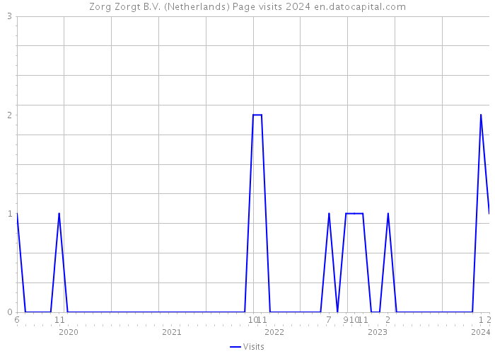 Zorg Zorgt B.V. (Netherlands) Page visits 2024 
