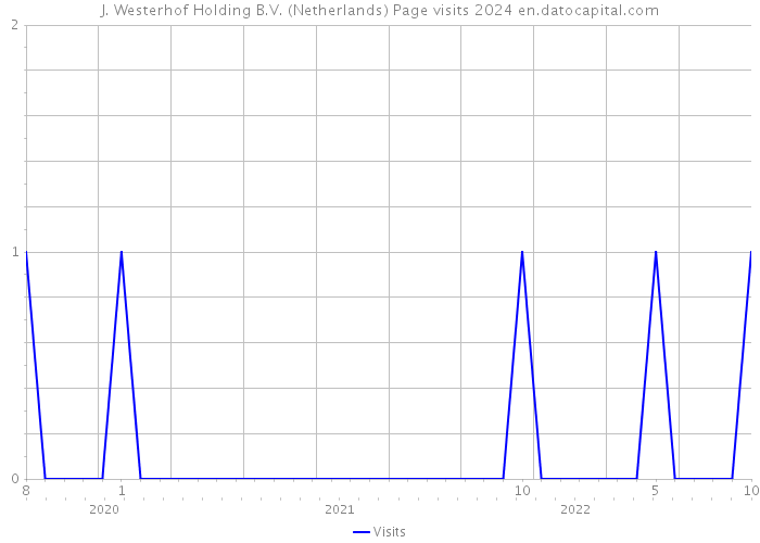 J. Westerhof Holding B.V. (Netherlands) Page visits 2024 