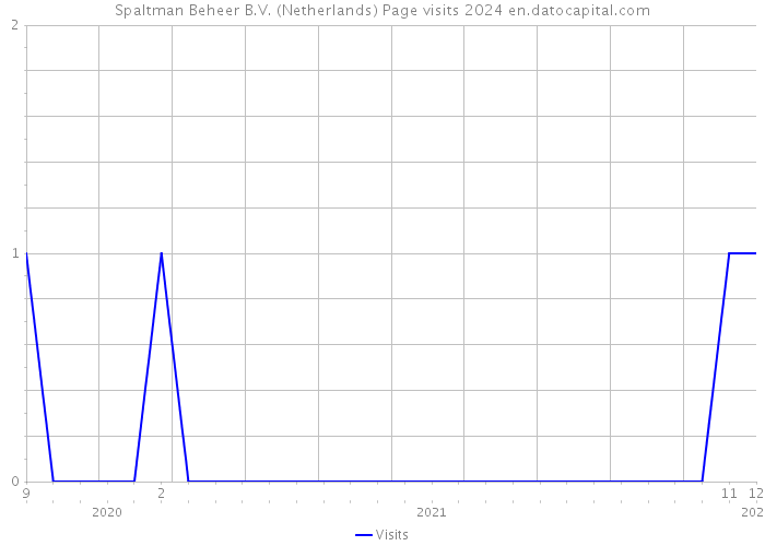 Spaltman Beheer B.V. (Netherlands) Page visits 2024 
