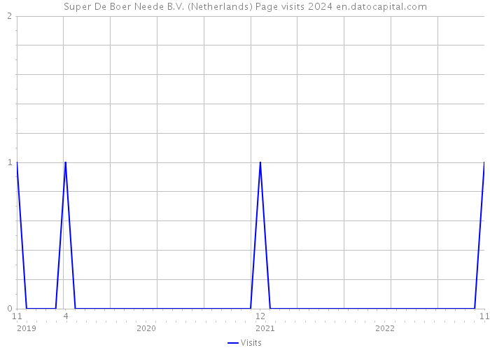 Super De Boer Neede B.V. (Netherlands) Page visits 2024 