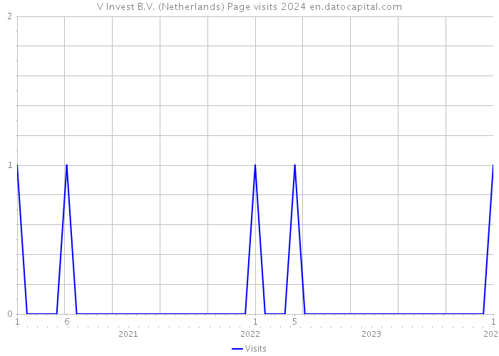 V Invest B.V. (Netherlands) Page visits 2024 