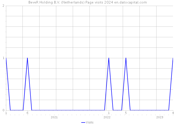BeveR Holding B.V. (Netherlands) Page visits 2024 