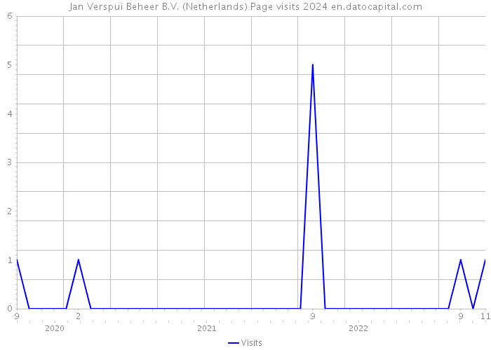Jan Verspui Beheer B.V. (Netherlands) Page visits 2024 
