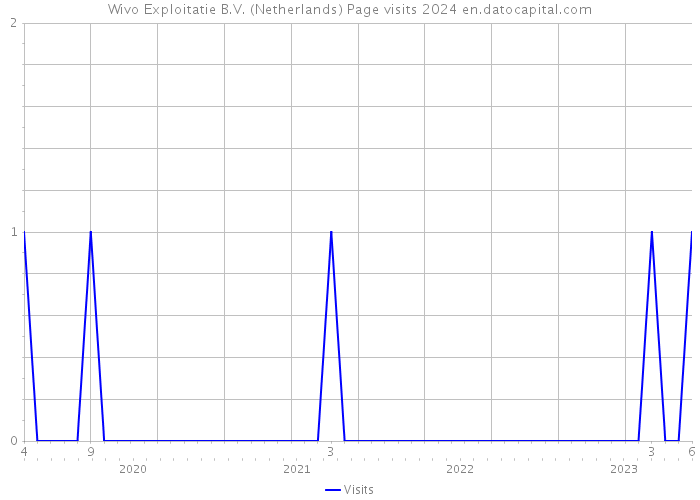 Wivo Exploitatie B.V. (Netherlands) Page visits 2024 