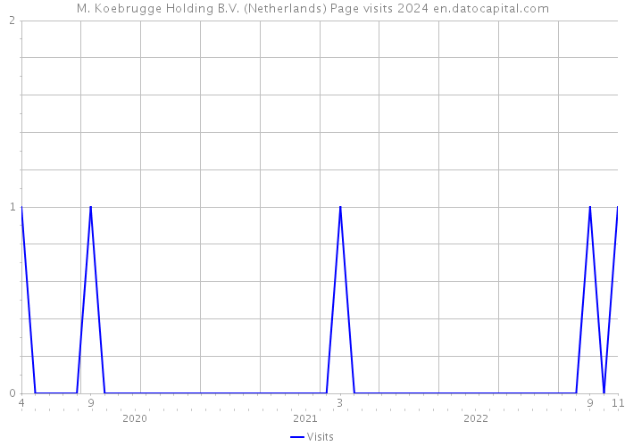 M. Koebrugge Holding B.V. (Netherlands) Page visits 2024 