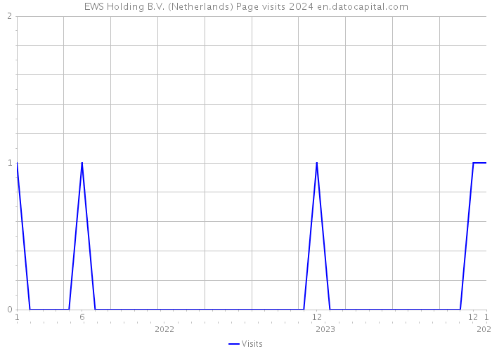 EWS Holding B.V. (Netherlands) Page visits 2024 