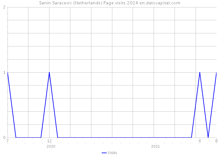 Sanin Saracevic (Netherlands) Page visits 2024 