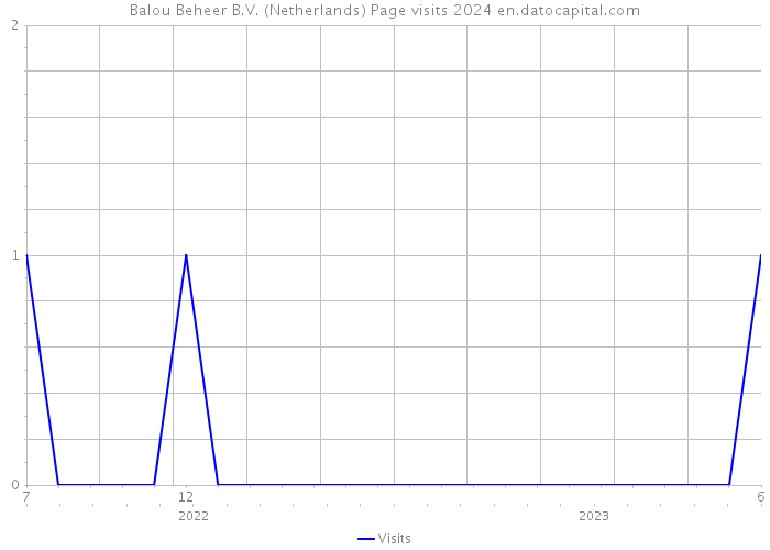 Balou Beheer B.V. (Netherlands) Page visits 2024 