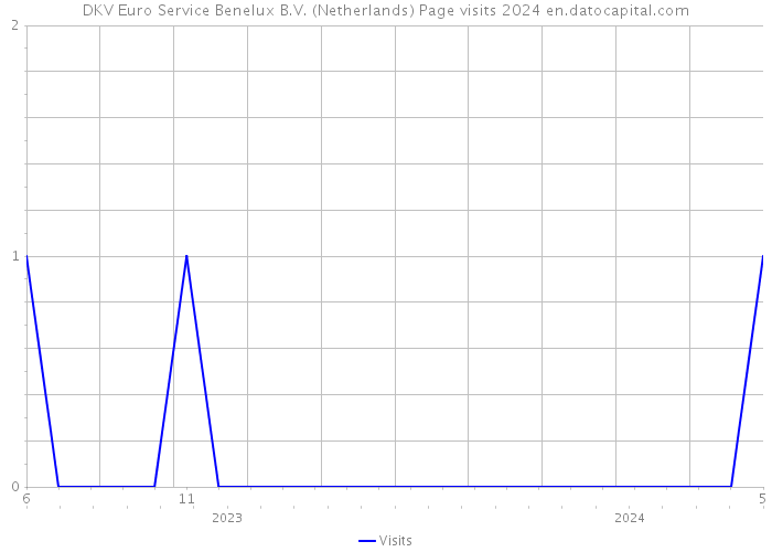 DKV Euro Service Benelux B.V. (Netherlands) Page visits 2024 