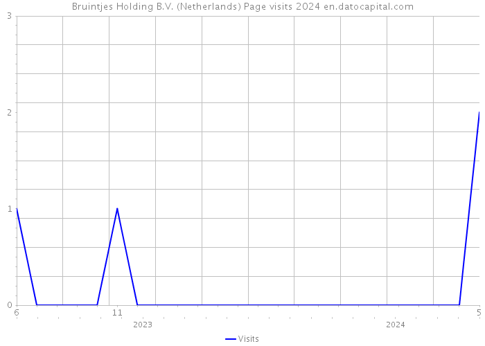 Bruintjes Holding B.V. (Netherlands) Page visits 2024 