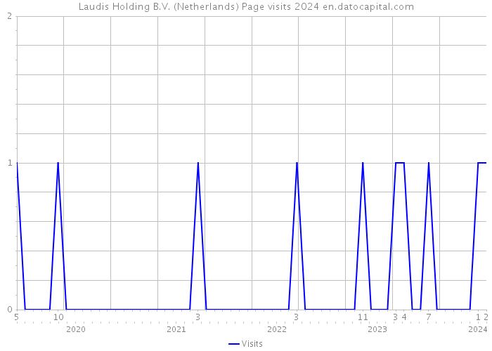 Laudis Holding B.V. (Netherlands) Page visits 2024 