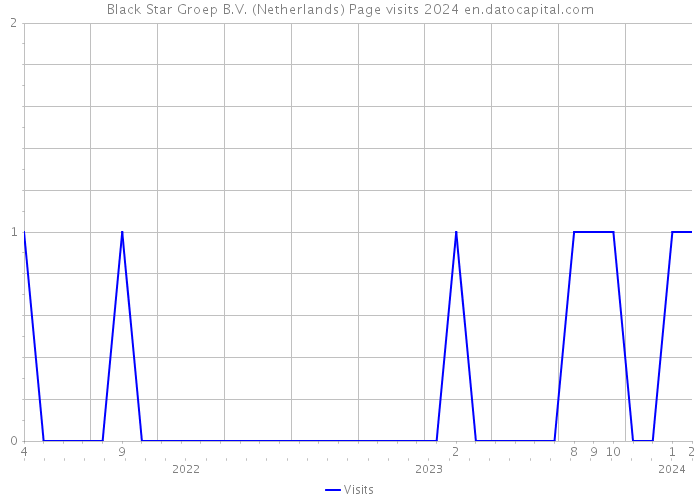 Black Star Groep B.V. (Netherlands) Page visits 2024 