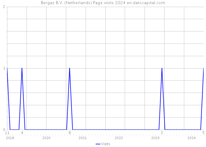 Bergaz B.V. (Netherlands) Page visits 2024 