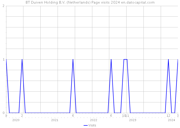 BT Duiven Holding B.V. (Netherlands) Page visits 2024 