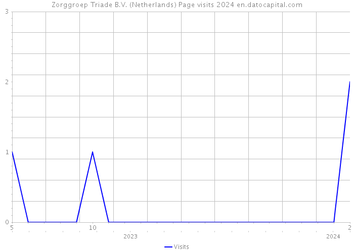 Zorggroep Triade B.V. (Netherlands) Page visits 2024 