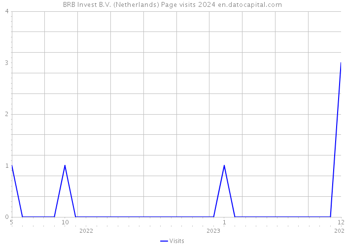 BRB Invest B.V. (Netherlands) Page visits 2024 
