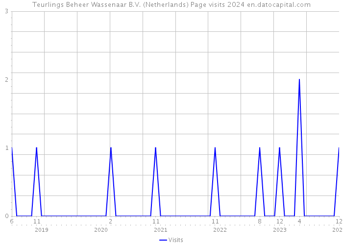 Teurlings Beheer Wassenaar B.V. (Netherlands) Page visits 2024 