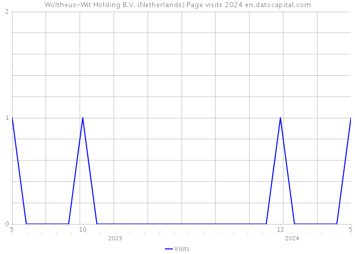 Woltheus-Wit Holding B.V. (Netherlands) Page visits 2024 