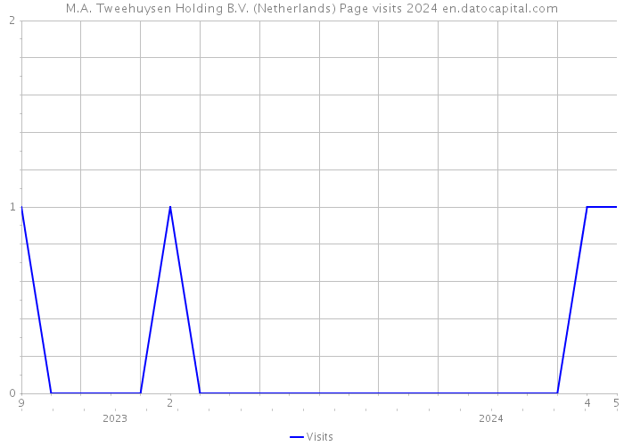 M.A. Tweehuysen Holding B.V. (Netherlands) Page visits 2024 