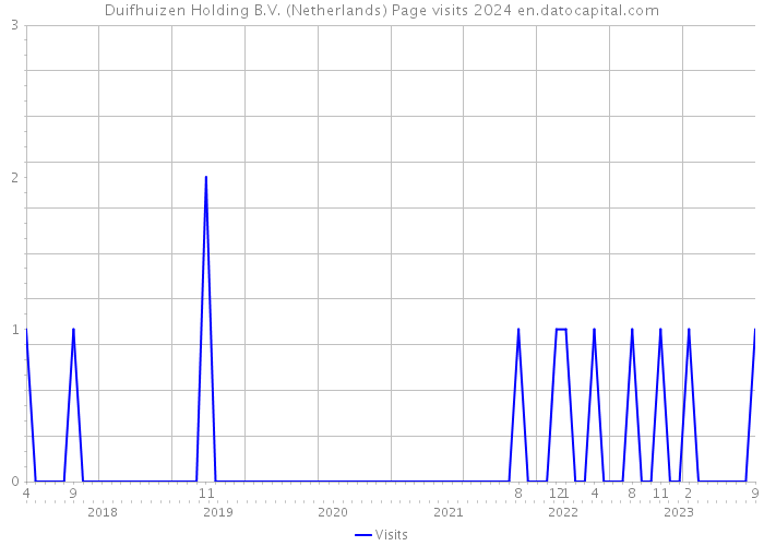 Duifhuizen Holding B.V. (Netherlands) Page visits 2024 