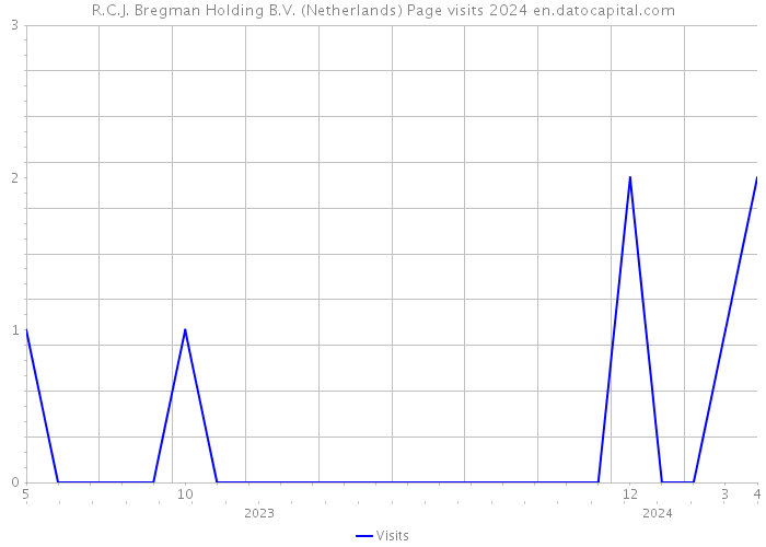R.C.J. Bregman Holding B.V. (Netherlands) Page visits 2024 
