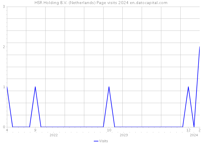 HSR Holding B.V. (Netherlands) Page visits 2024 
