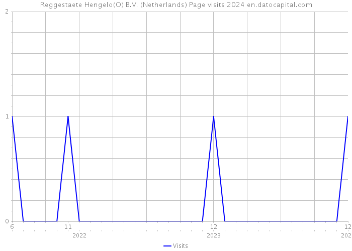 Reggestaete Hengelo(O) B.V. (Netherlands) Page visits 2024 
