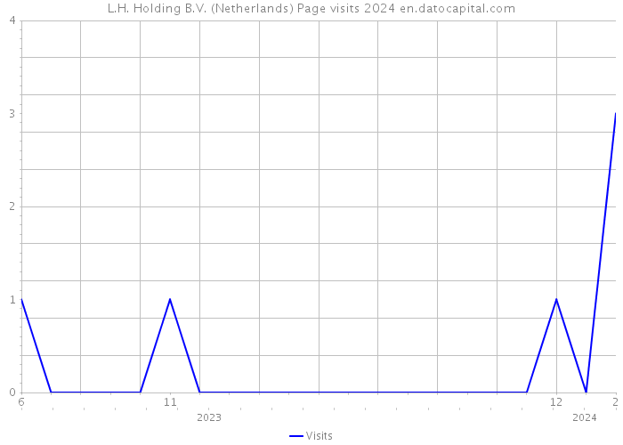 L.H. Holding B.V. (Netherlands) Page visits 2024 