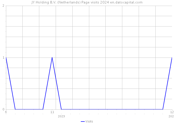 JY Holding B.V. (Netherlands) Page visits 2024 