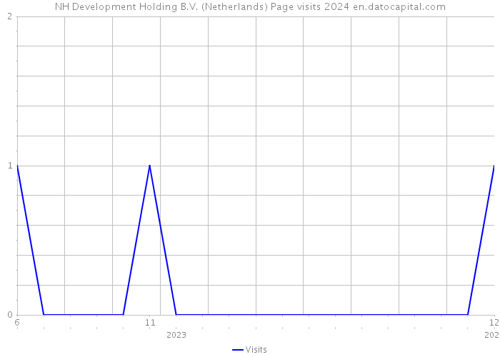 NH Development Holding B.V. (Netherlands) Page visits 2024 