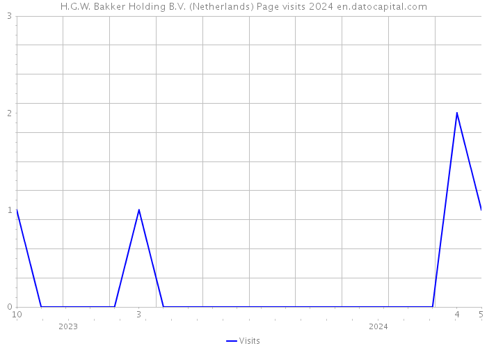 H.G.W. Bakker Holding B.V. (Netherlands) Page visits 2024 