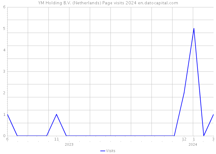 YM Holding B.V. (Netherlands) Page visits 2024 