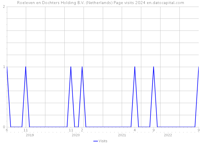 Roeleven en Dochters Holding B.V. (Netherlands) Page visits 2024 