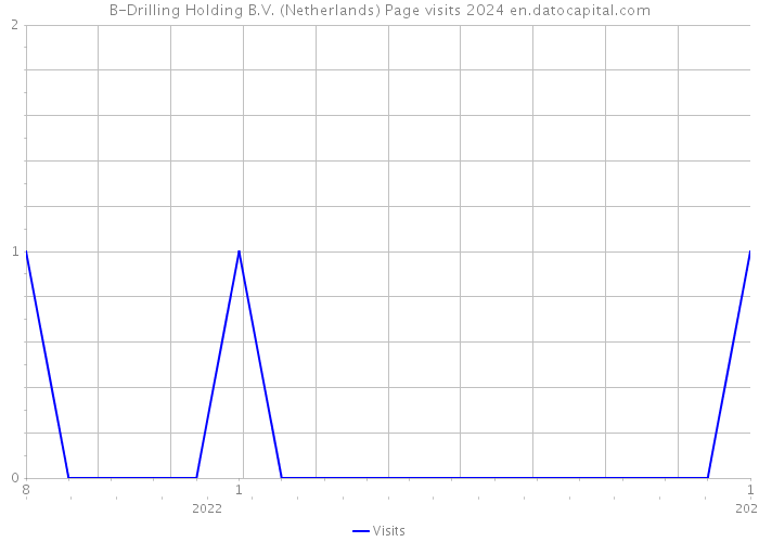 B-Drilling Holding B.V. (Netherlands) Page visits 2024 